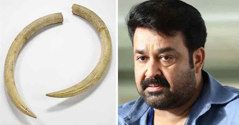 മോഹൻലാൽ ആനക്കൊമ്പ് കേസ് വനംവകുപ്പ് അപേക്ഷ